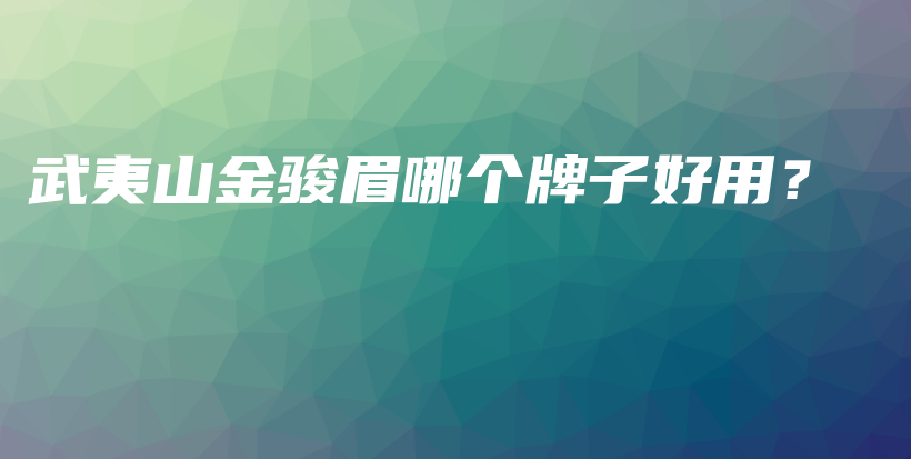武夷山金駿眉哪個牌子好用？插圖