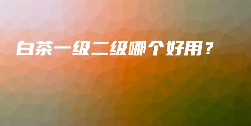 白茶一級(jí)二級(jí)哪個(gè)好用？插圖