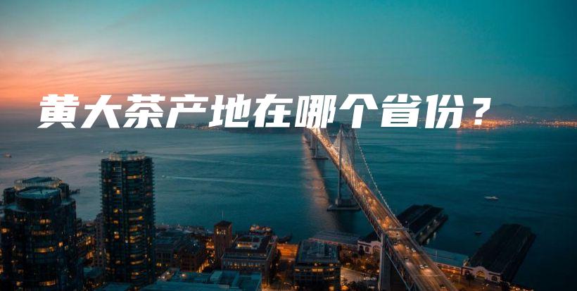 黃大茶產(chǎn)地在哪個(gè)省份？插圖
