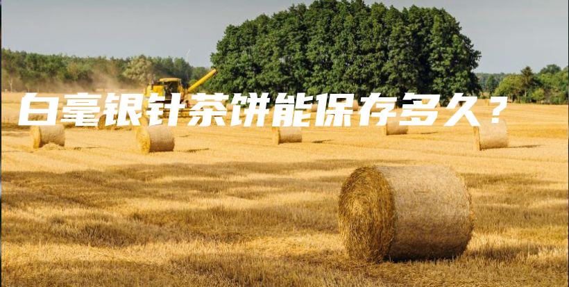 白毫銀針茶餅?zāi)鼙４娑嗑?？插圖