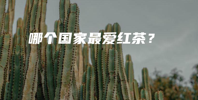 哪個國家最愛紅茶？插圖