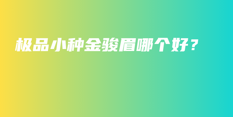 極品小種金駿眉哪個好？插圖