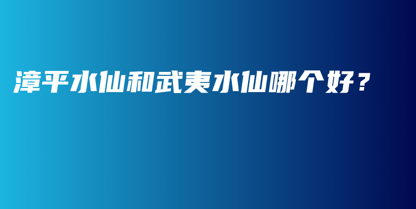 漳平水仙和武夷水仙哪個(gè)好？插圖