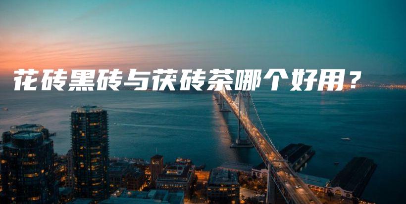 花磚黑磚與茯磚茶哪個好用？插圖