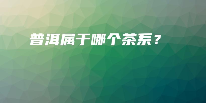 普洱屬于哪個茶系？插圖