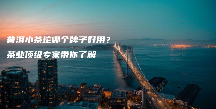 普洱小茶坨哪個(gè)牌子好用？茶業(yè)頂級(jí)專家?guī)懔私獠鍒D