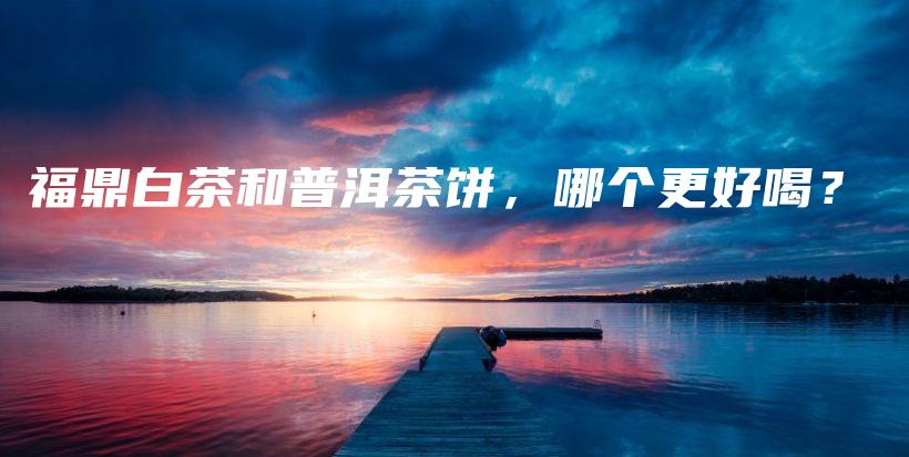 福鼎白茶和普洱茶餅，哪個(gè)更好喝？插圖