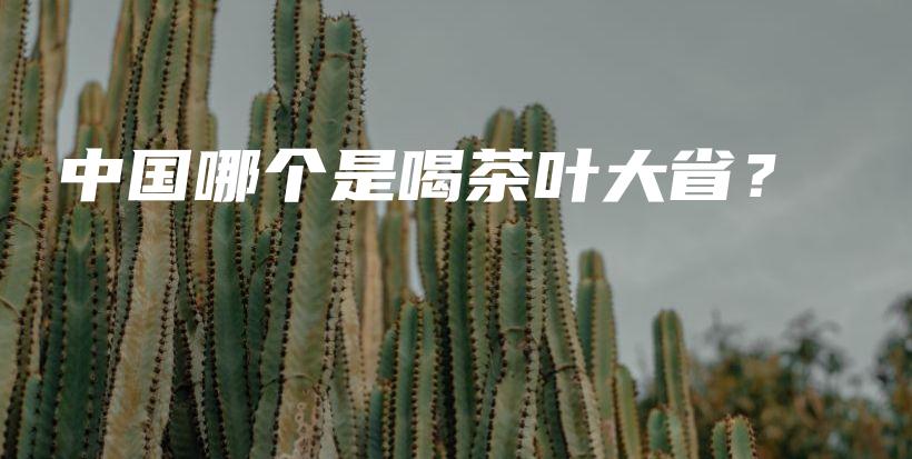 中國哪個(gè)是喝茶葉大省？插圖