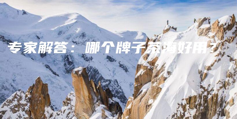 專家解答：哪個牌子茶海好用？插圖