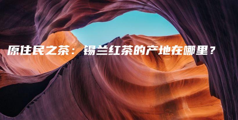 原住民之茶：錫蘭紅茶的產(chǎn)地在哪里？插圖