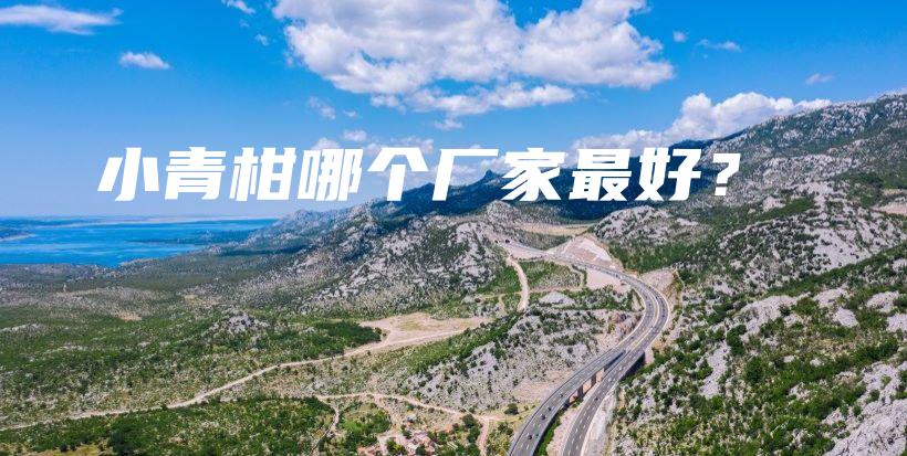 小青柑哪個廠家最好？插圖