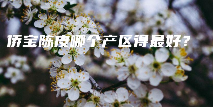 僑寶陳皮哪個(gè)產(chǎn)區(qū)得最好？插圖