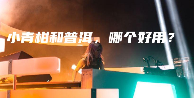 小青柑和普洱，哪個(gè)好用？插圖