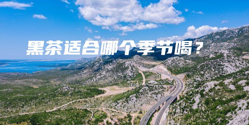 黑茶適合哪個季節(jié)喝？插圖