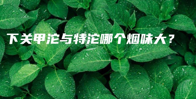下關甲沱與特沱哪個煙味大？插圖