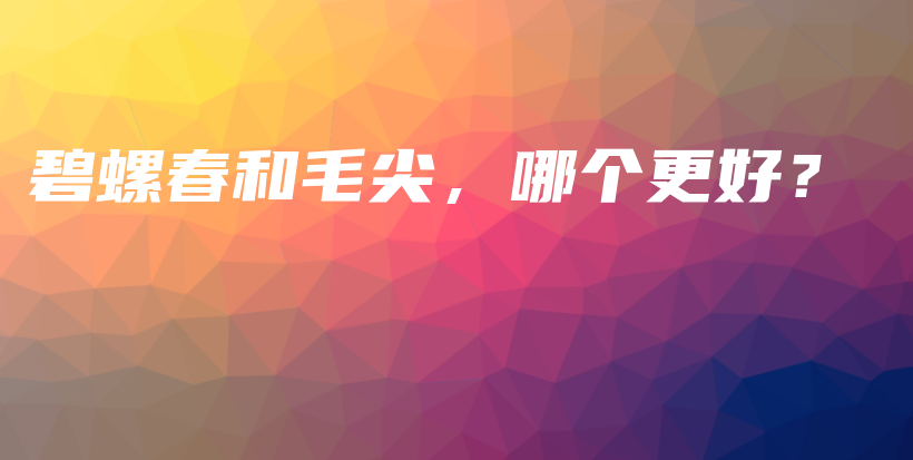 碧螺春和毛尖，哪個更好？插圖