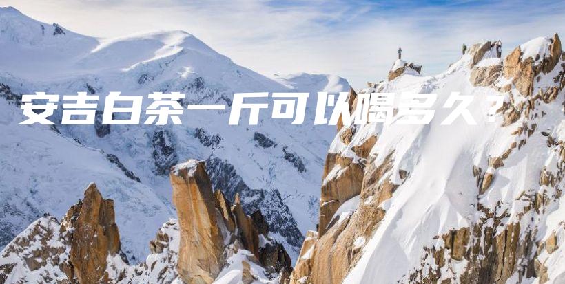 安吉白茶一斤可以喝多久？插圖