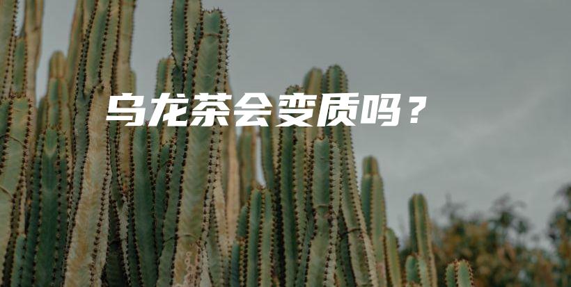 烏龍茶會(huì)變質(zhì)嗎？插圖
