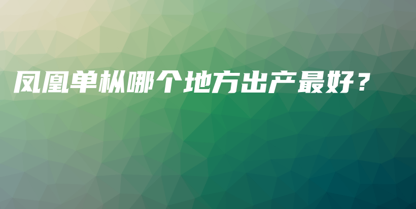 鳳凰單樅哪個(gè)地方出產(chǎn)最好？插圖