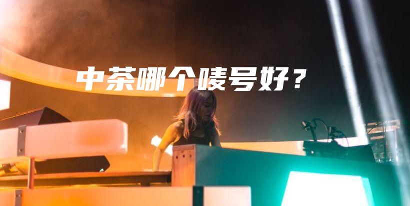中茶哪個(gè)嘜號(hào)好？插圖