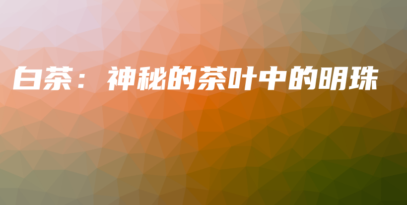 白茶：神秘的茶葉中的明珠插圖