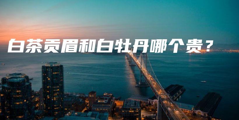 白茶貢眉和白牡丹哪個(gè)貴？插圖