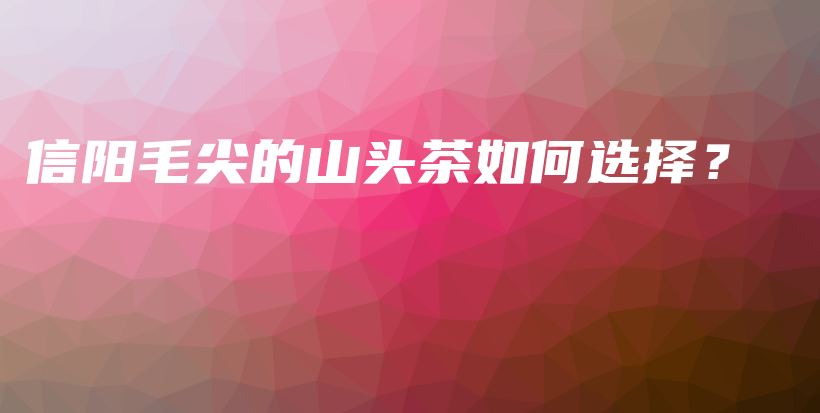 信陽毛尖的山頭茶如何選擇？插圖