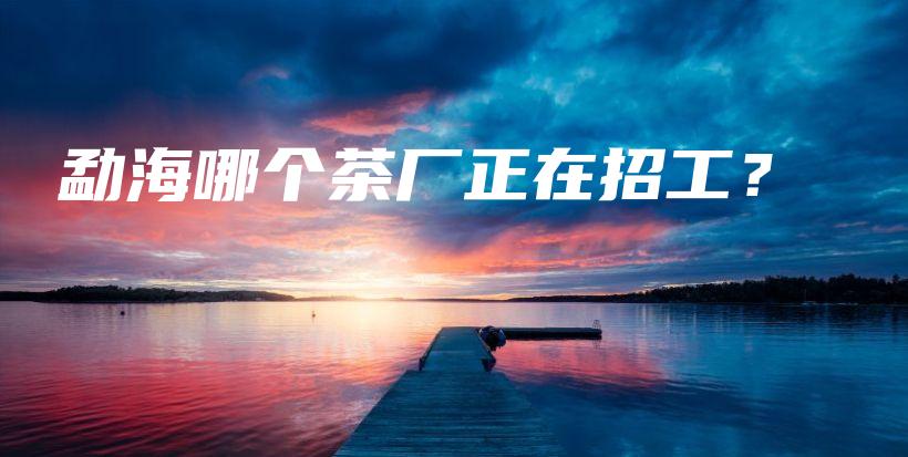 勐海哪個茶廠正在招工？插圖