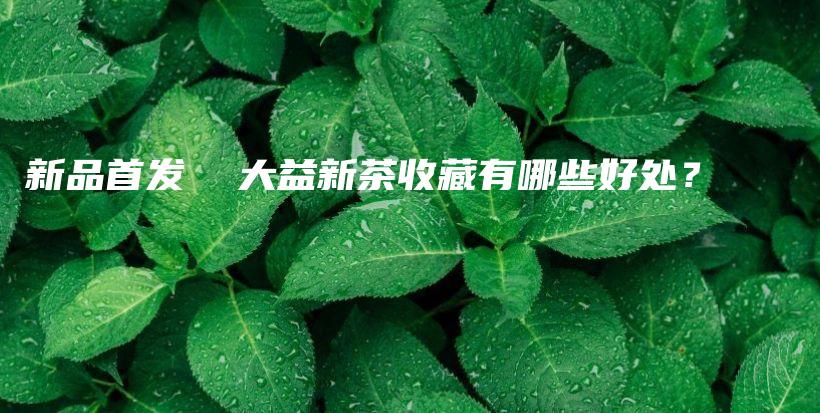 新品首發(fā)  大益新茶收藏有哪些好處？插圖