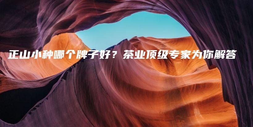 正山小種哪個牌子好？茶業(yè)頂級專家為你解答插圖