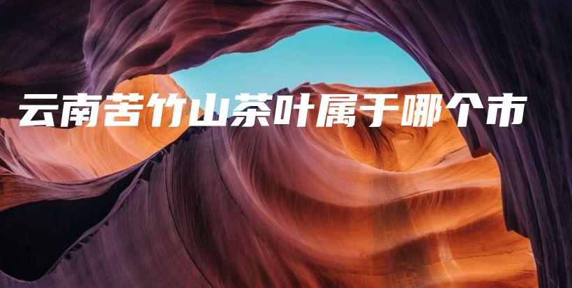 云南苦竹山茶葉屬于哪個市插圖