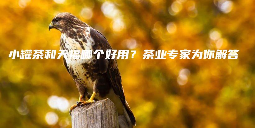 小罐茶和天福哪個(gè)好用？茶業(yè)專家為你解答插圖