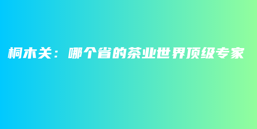 桐木關：哪個省的茶業(yè)世界頂級專家插圖