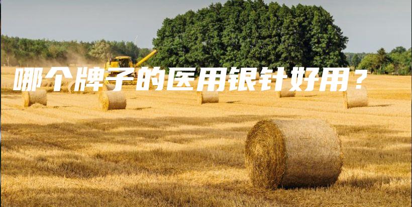 哪個(gè)牌子的醫(yī)用銀針好用？插圖