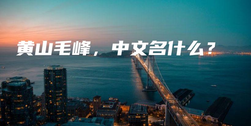 黃山毛峰，中文名什么？插圖