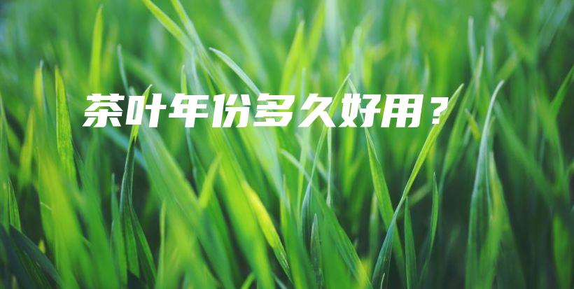 茶葉年份多久好用？插圖