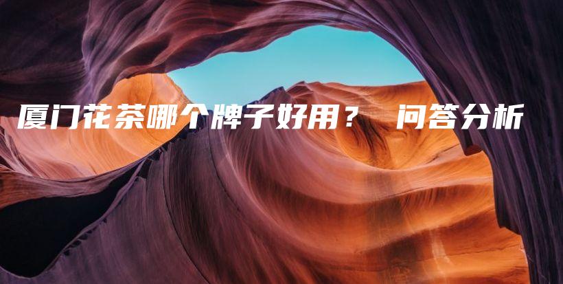 廈門花茶哪個牌子好用？ 問答分析插圖