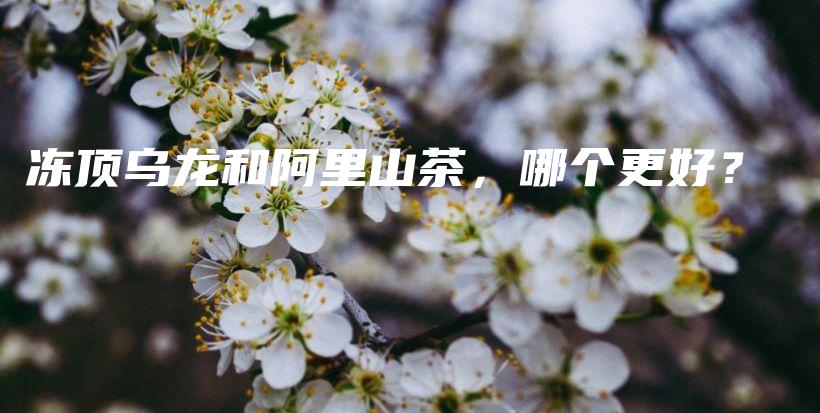 凍頂烏龍和阿里山茶，哪個(gè)更好？插圖