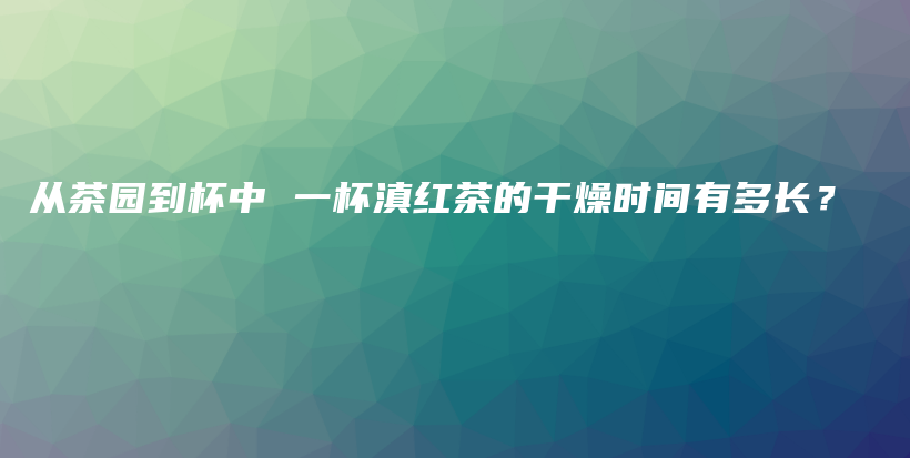 從茶園到杯中 一杯滇紅茶的干燥時(shí)間有多長？插圖