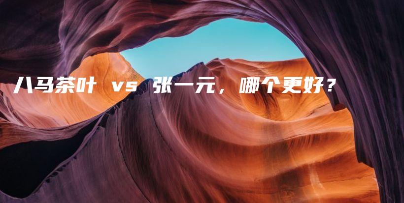 八馬茶葉 vs 張一元，哪個更好？插圖