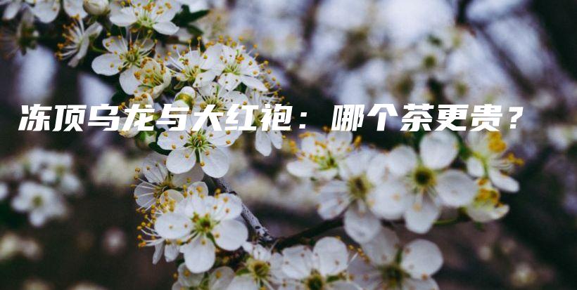 凍頂烏龍與大紅袍：哪個茶更貴？插圖