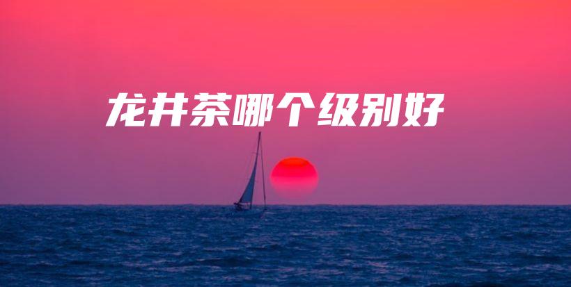 龍井茶哪個(gè)級(jí)別好插圖