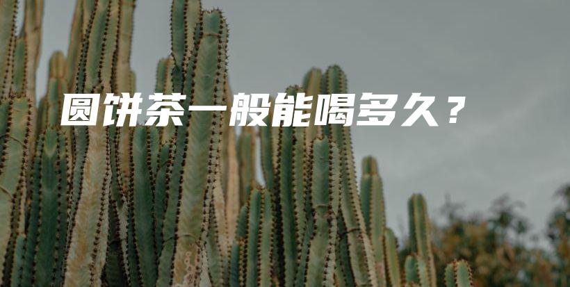 圓餅茶一般能喝多久？插圖