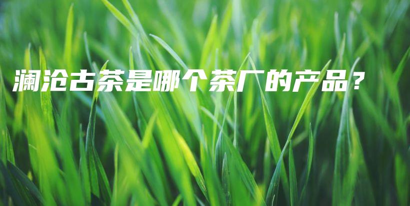 瀾滄古茶是哪個(gè)茶廠的產(chǎn)品？插圖