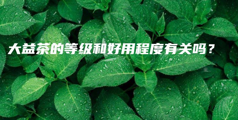 大益茶的等級和好用程度有關(guān)嗎？插圖