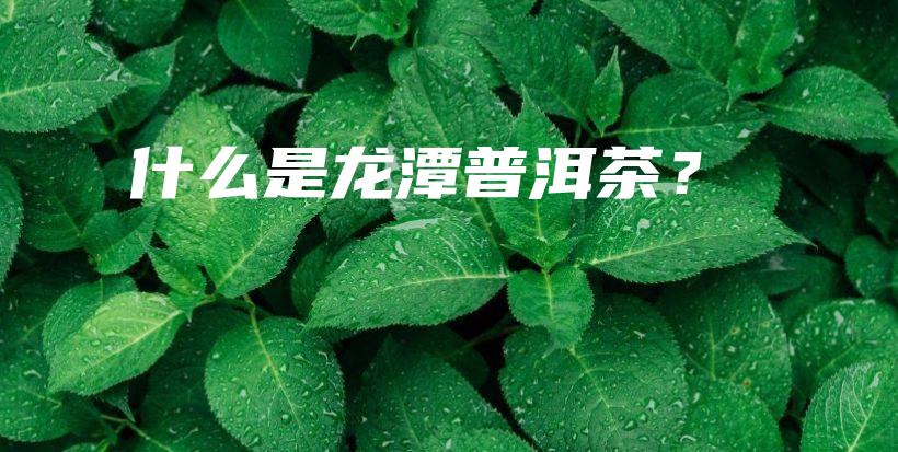什么是龍?zhí)镀斩瑁坎鍒D