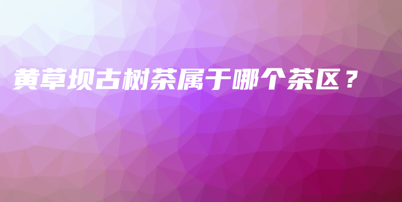 黃草壩古樹茶屬于哪個茶區(qū)？插圖