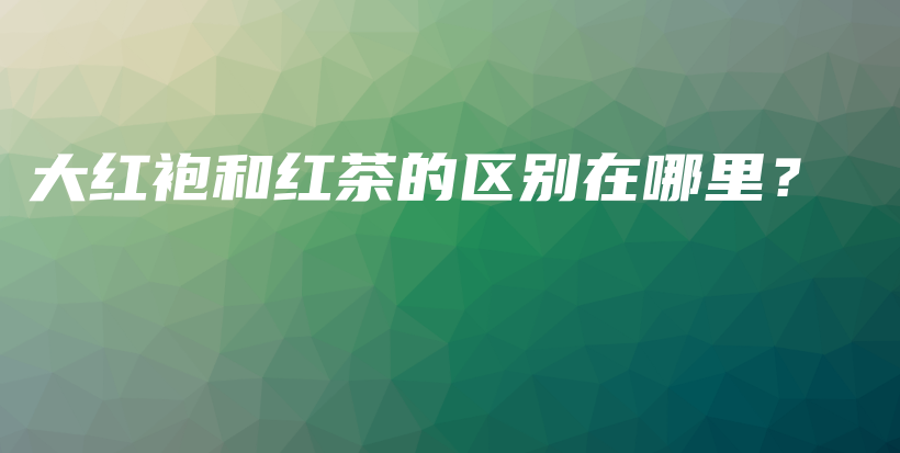 大紅袍和紅茶的區(qū)別在哪里？插圖