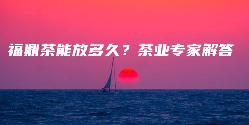 福鼎茶能放多久？茶業(yè)專家解答插圖
