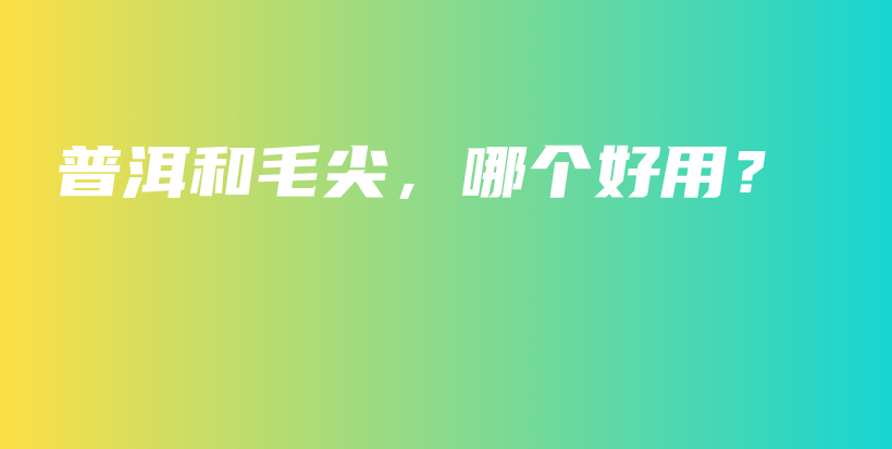 普洱和毛尖，哪個好用？插圖